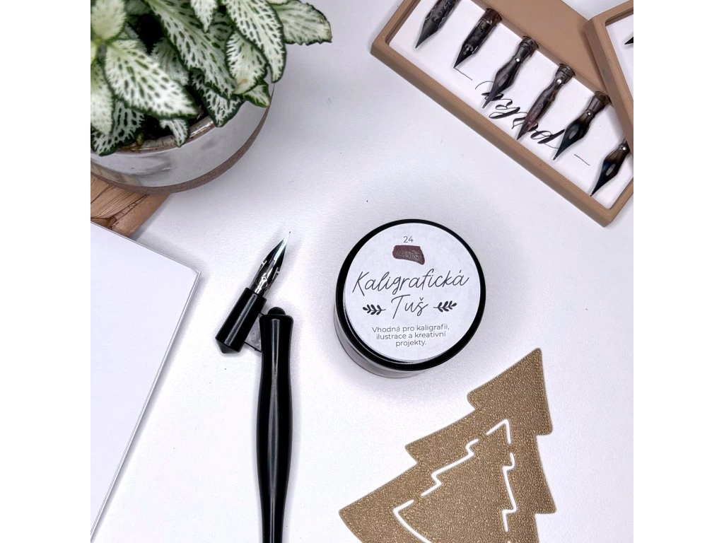 Ukázka z kurzu kaligrafie